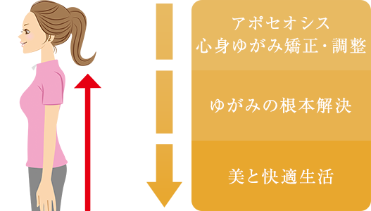 アポセオシス 心身ゆがみ矯正・調整→ゆがみの根本解決→美と快適生活